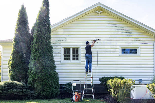 Best Driveway Pressure Washing  in Morton, MS